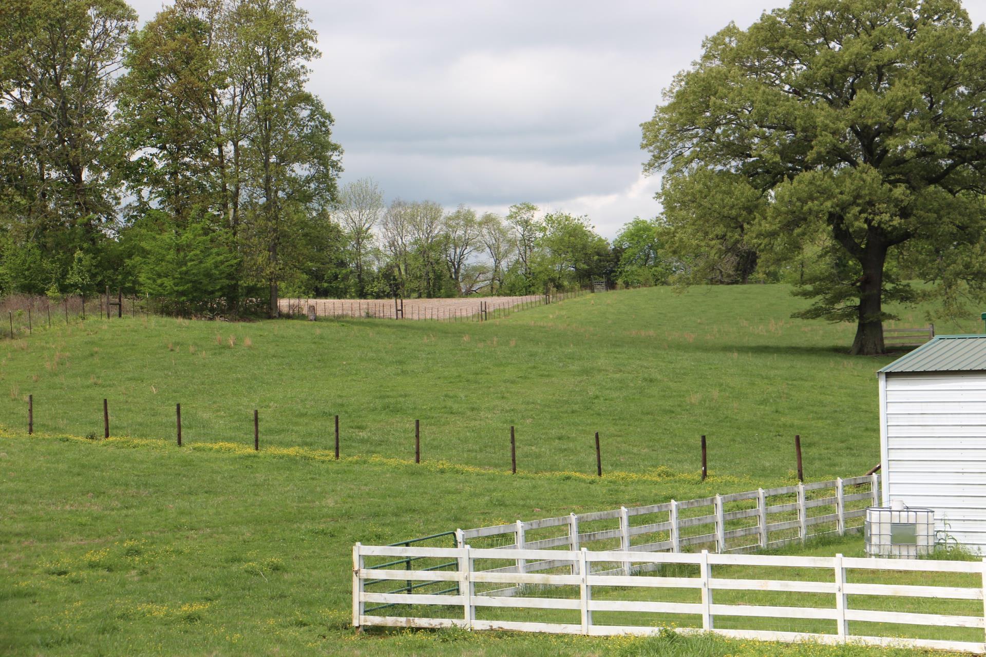 4800 Rock House Road Portland, TN 37148 - Photo 8 of 22