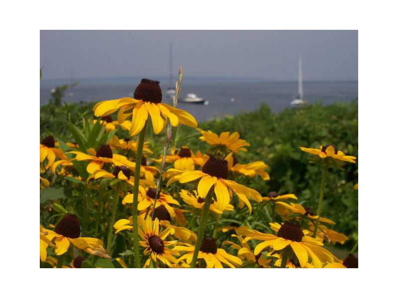 426 East Shore Road Jamestown, RI 02835 - Photo 6 of 11 View.