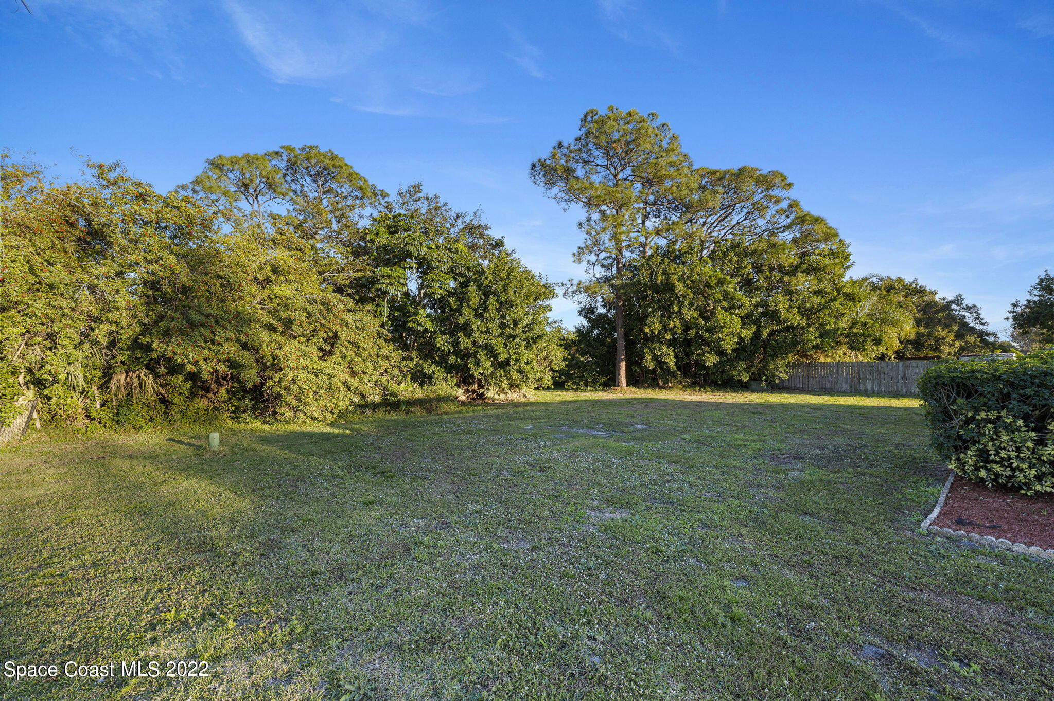 1141 Cromey Road Northeast Palm Bay, FL 32905 - Photo 27 of 27 a view of a yard with a tree