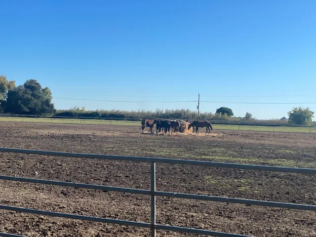 a view of a yard with wooden fence