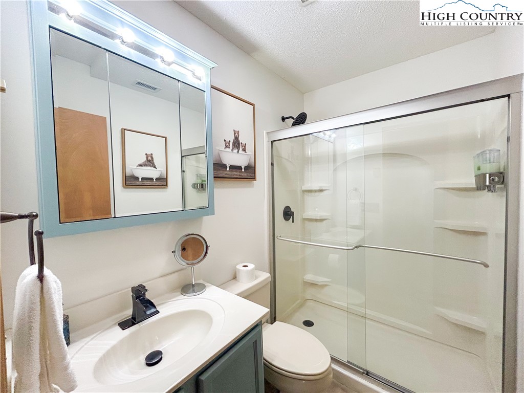 114 Spruce Hollow Road Beech Mountain, NC 28604 - Photo 30 of 50