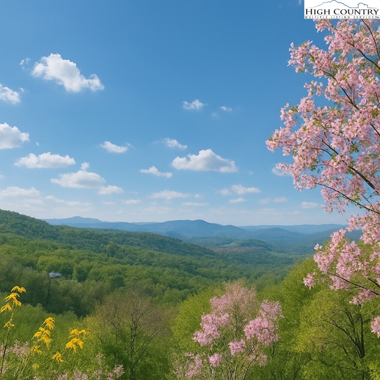 114 Spruce Hollow Road Beech Mountain, NC 28604 - Photo 44 of 50