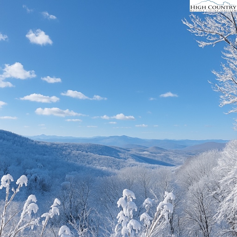 114 Spruce Hollow Road Beech Mountain, NC 28604 - Photo 45 of 50