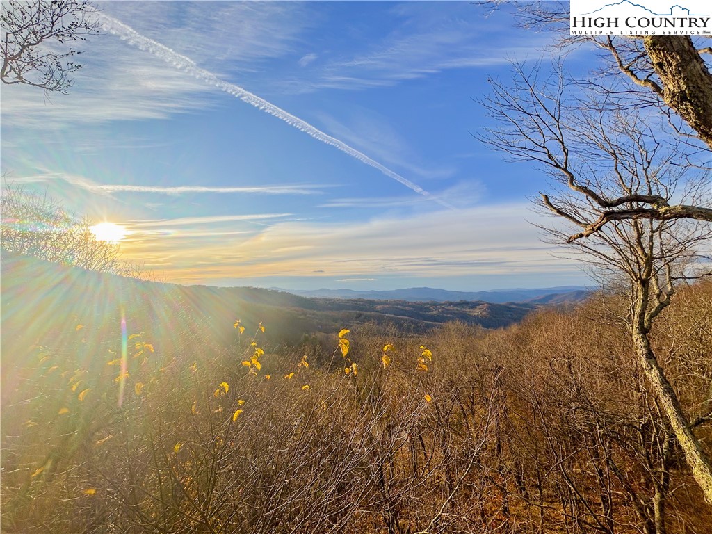 114 Spruce Hollow Road Beech Mountain, NC 28604 - Photo 49 of 50