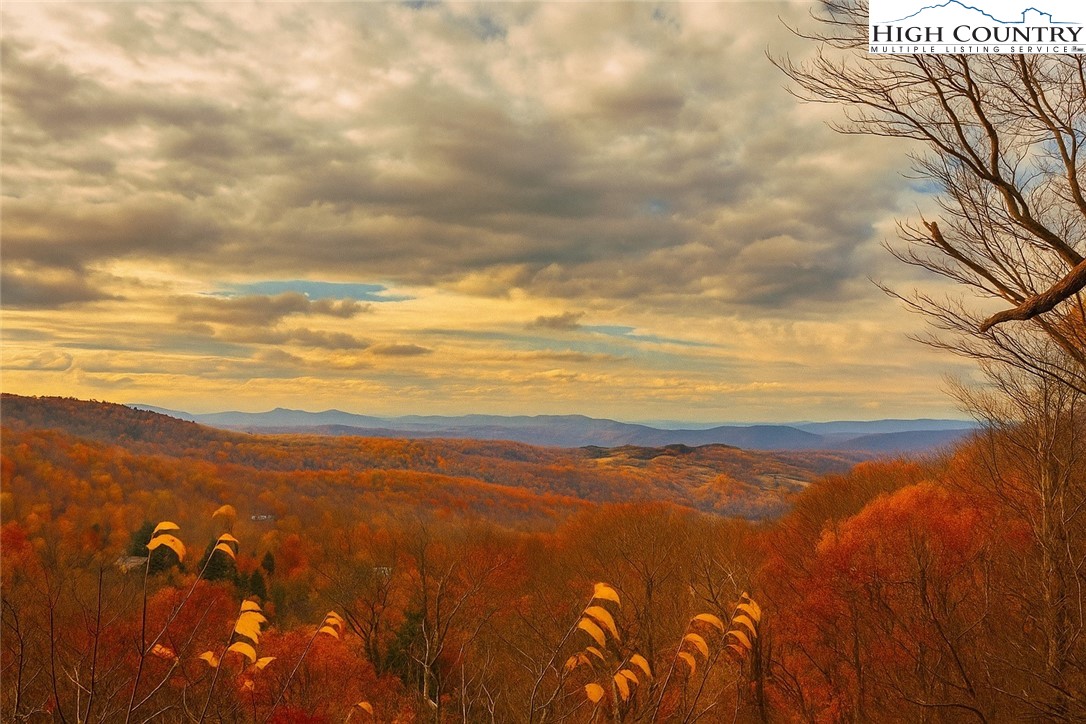 114 Spruce Hollow Road Beech Mountain, NC 28604 - Photo 5 of 50