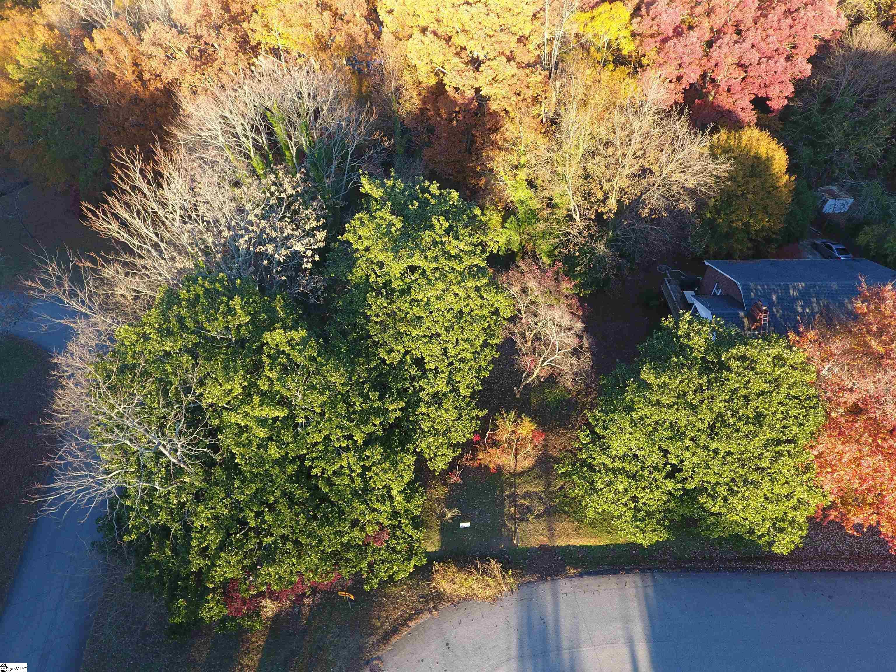 40 Blackburn Street Greenville, SC 29607 - Photo 3 of 4