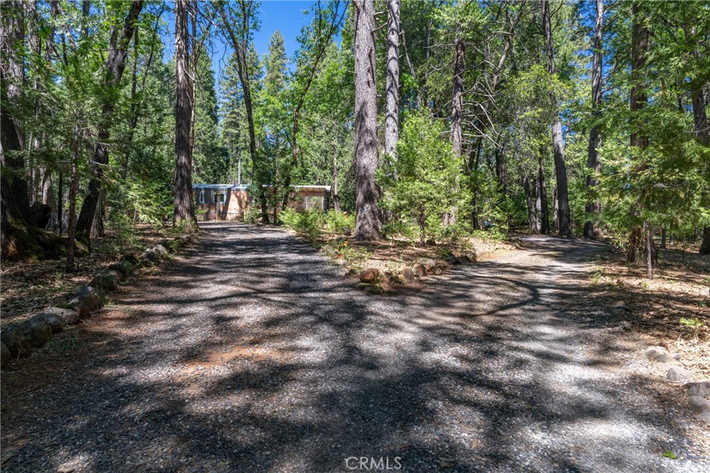 4715 Cody Lane Forest Ranch, CA 95942 - Photo 66 of 75