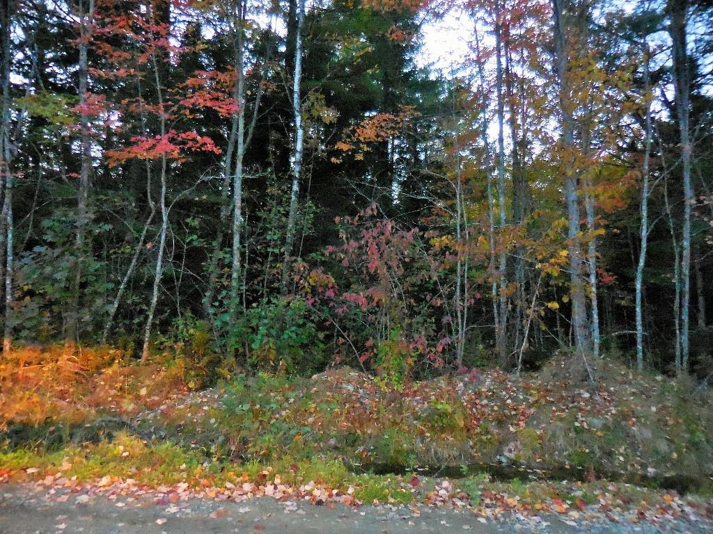 69-006 Bunker Hill Road Etna, ME 04434 - Photo 1 of 6 Photo