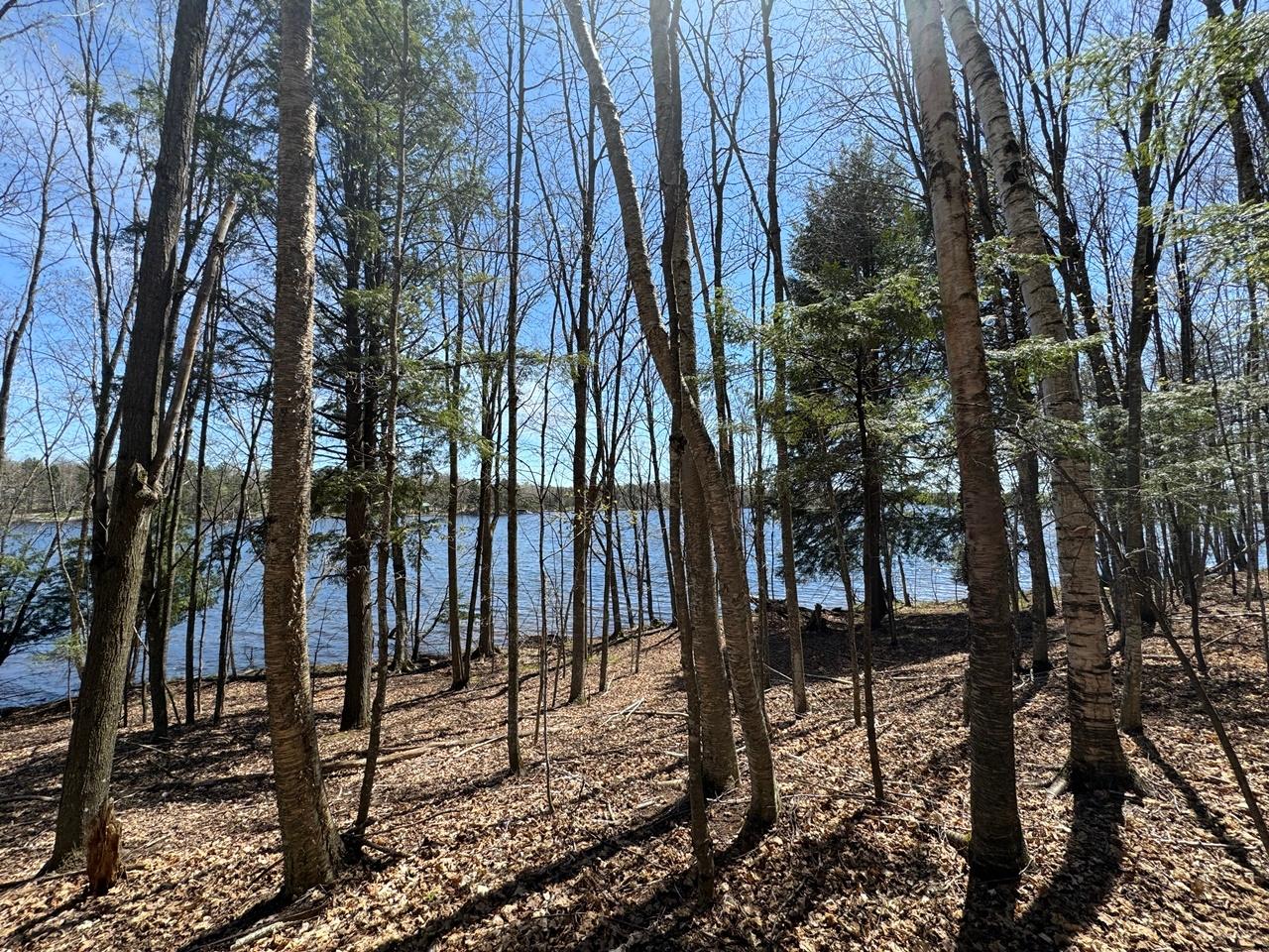 Lot 1 Black Forest Road Presque Isle, WI 54557 - Photo 11 of 18 Gallery Image 11