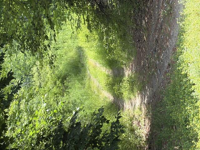 M10-l30 Canaan Road Clinton, ME 04927 - Photo 25 of 32 image4 (5)