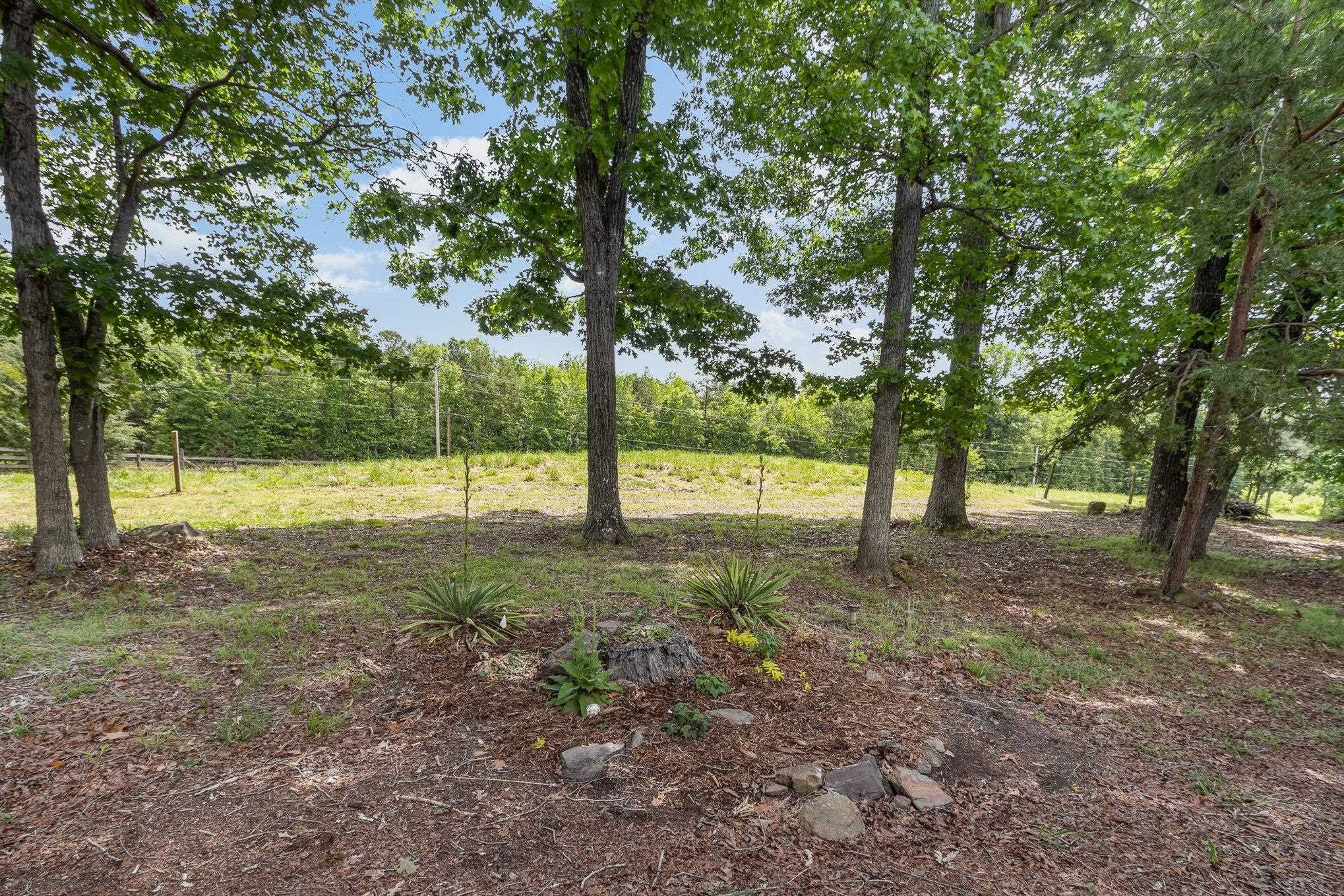 10611 Rougemont Road Bahama, NC 27503 - Photo 31 of 66 a view of outdoor space with tree s