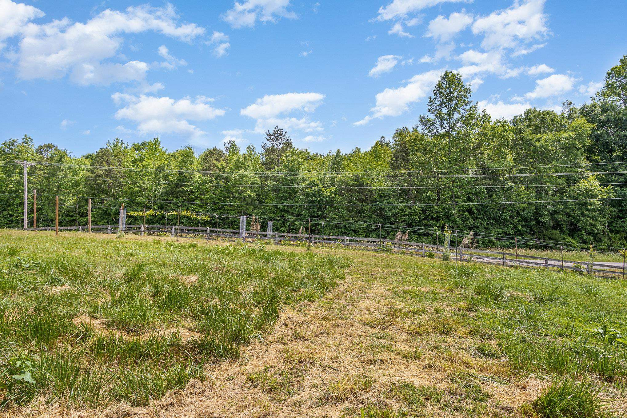 10611 Rougemont Road Bahama, NC 27503 - Photo 32 of 66 Photo 32