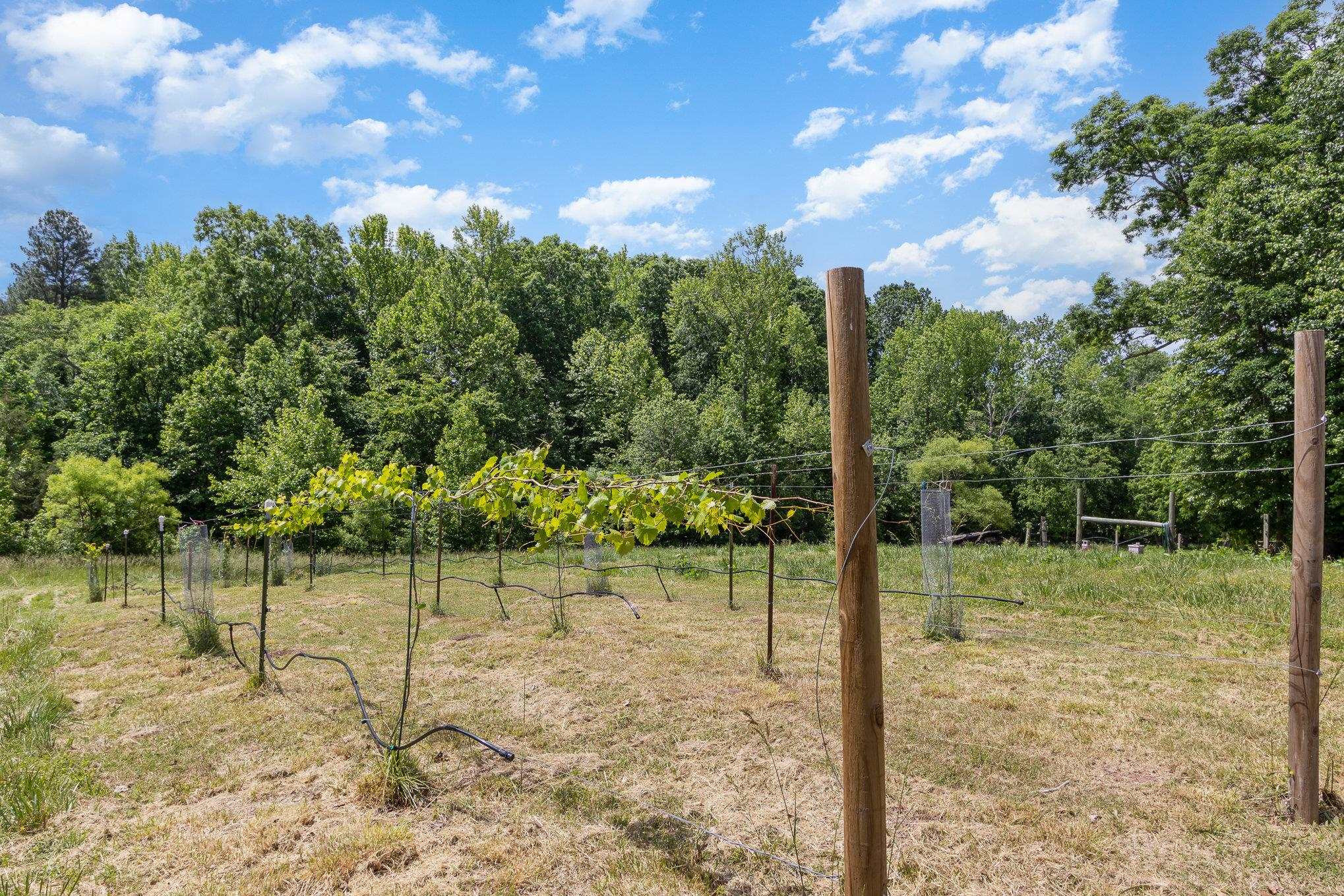 10611 Rougemont Road Bahama, NC 27503 - Photo 33 of 66 a backyard of a house with lots of green space