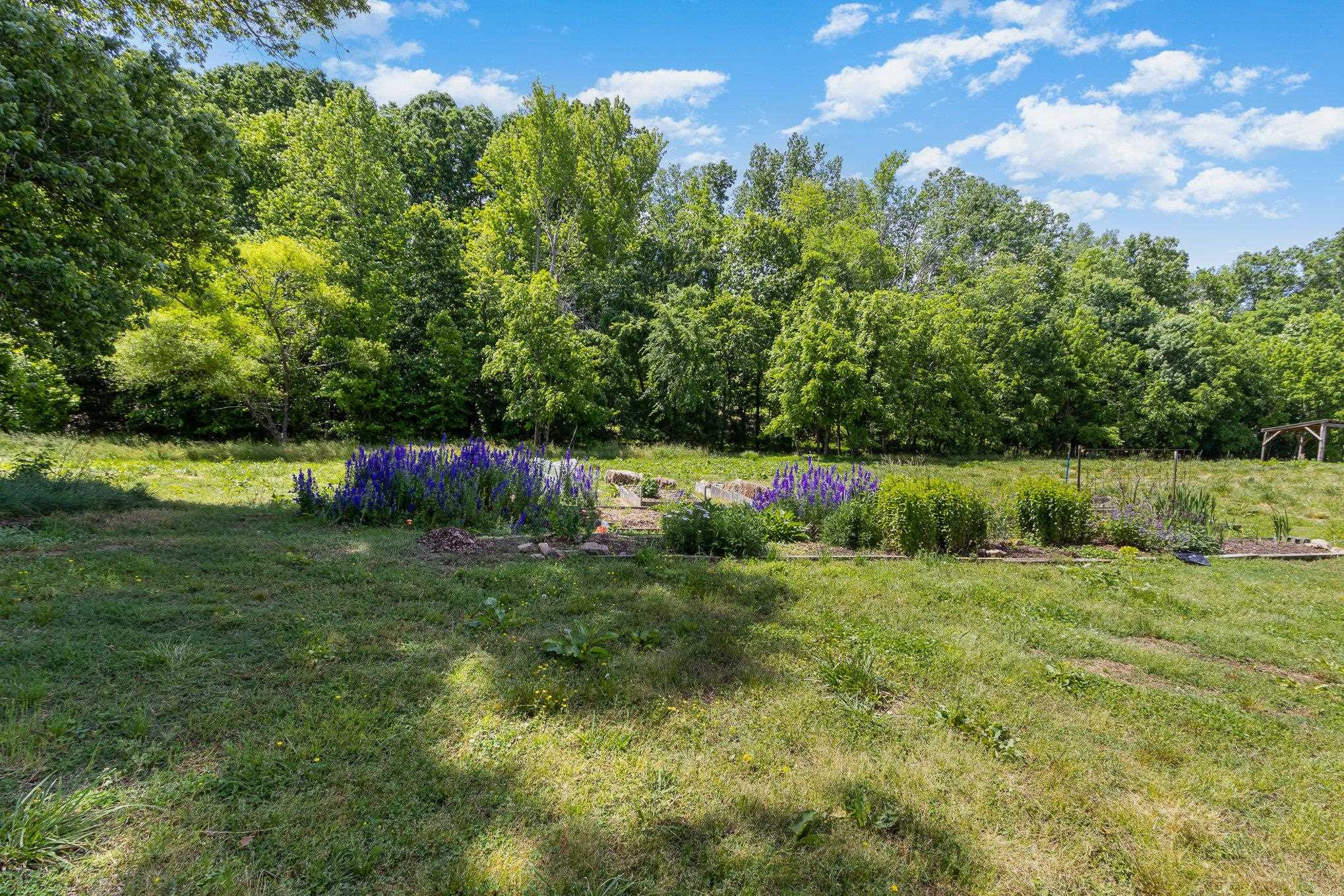 10611 Rougemont Road Bahama, NC 27503 - Photo 35 of 66 a backyard of a house with lots of green space