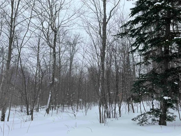 $243,000 | 2924 New Duck Pond Road, Sheffield, VT 05866