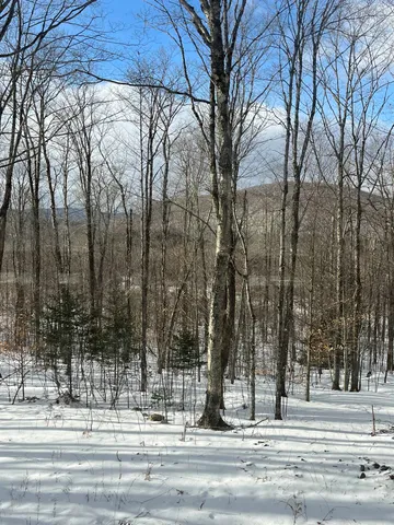 $249,000 | 2924 New Duck Pond Road, Sheffield, VT 05866