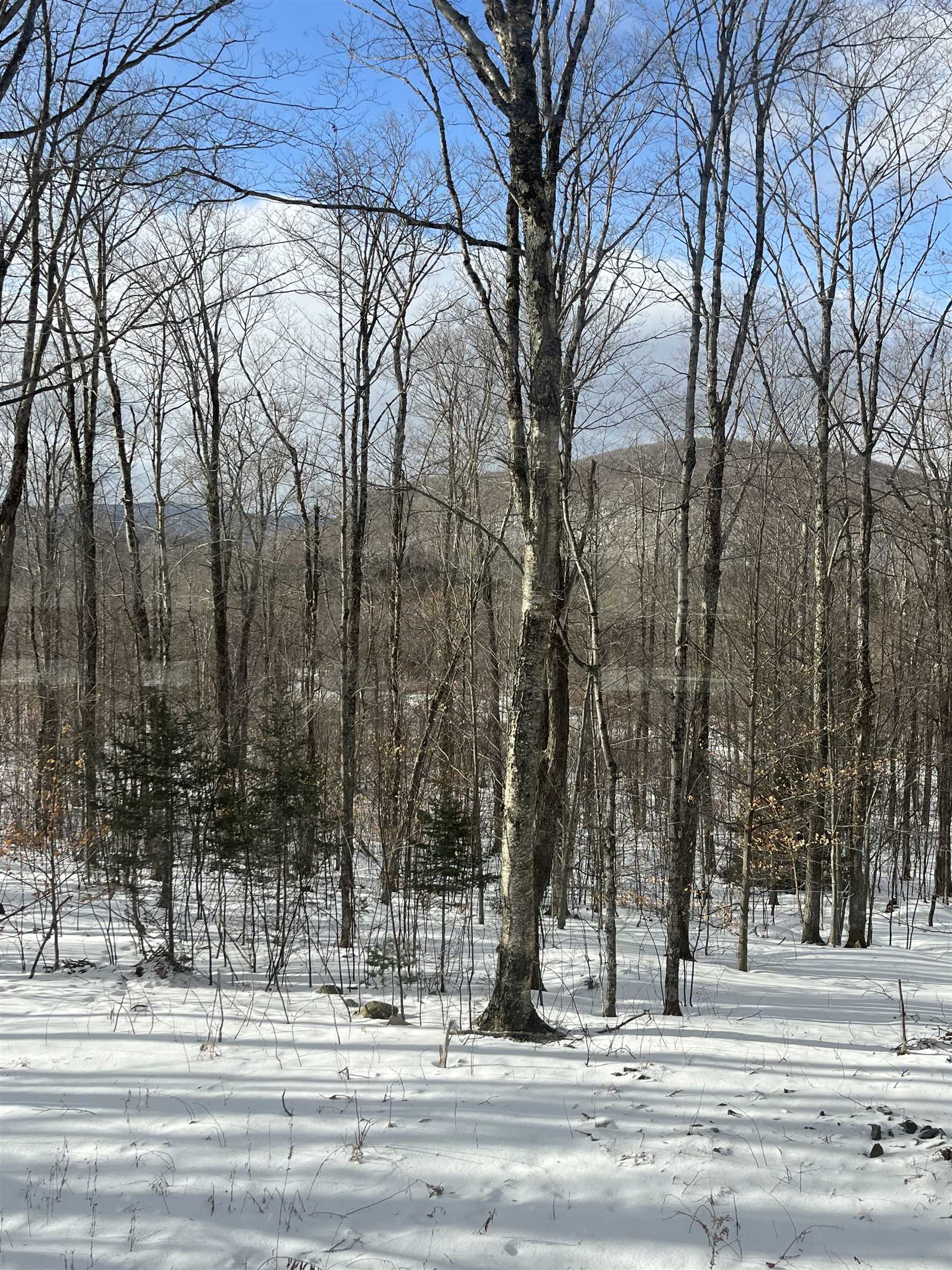 2924 New Duck Pond Road Sheffield, VT 05866 - Photo 12 of 14