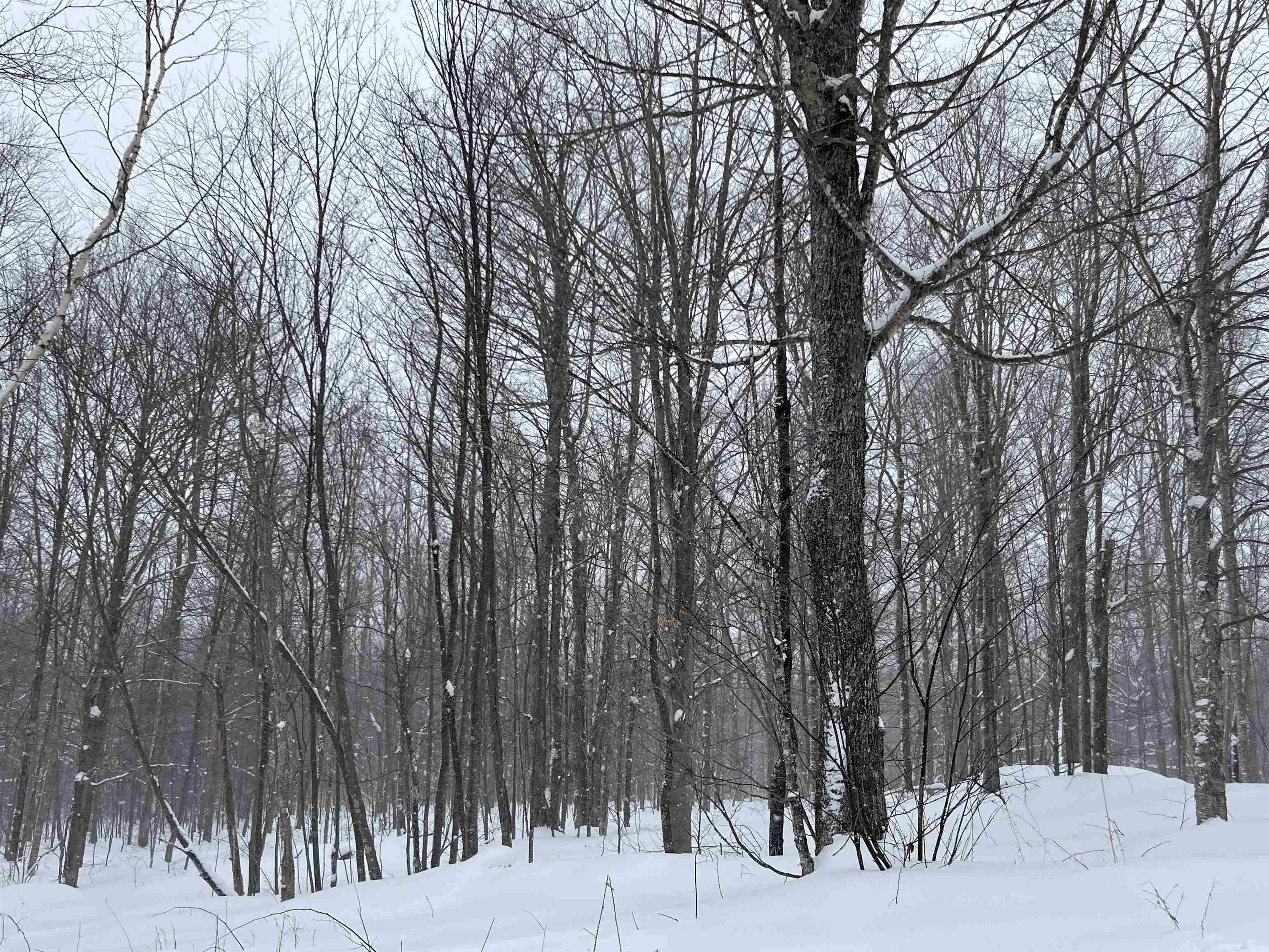 2924 New Duck Pond Road Sheffield, VT 05866 - Photo 2 of 14