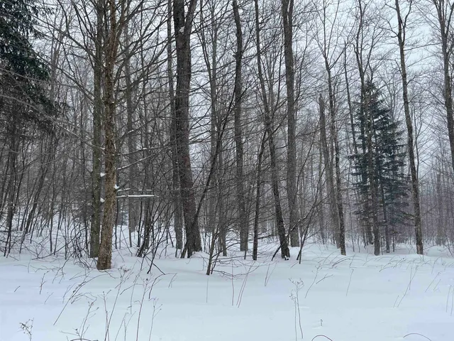 $249,000 | 2924 New Duck Pond Road, Sheffield, VT 05866