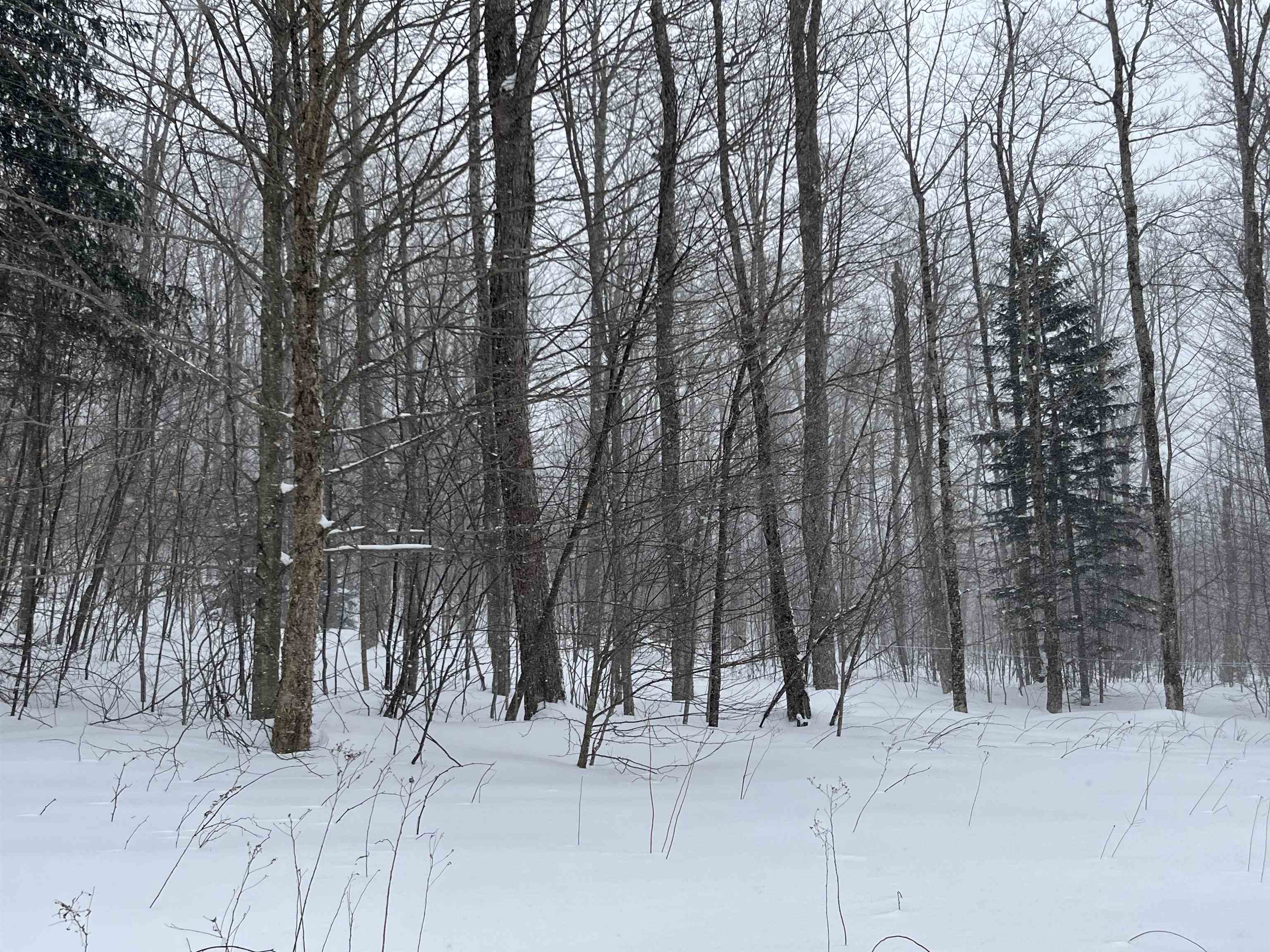 2924 New Duck Pond Road Sheffield, VT 05866 - Photo 3 of 14