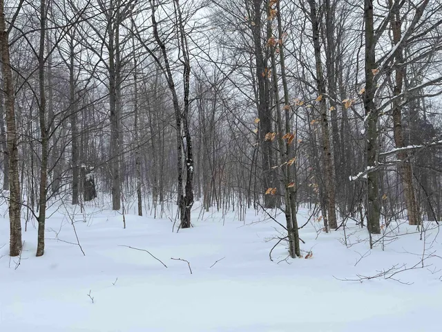 $249,000 | 2924 New Duck Pond Road, Sheffield, VT 05866