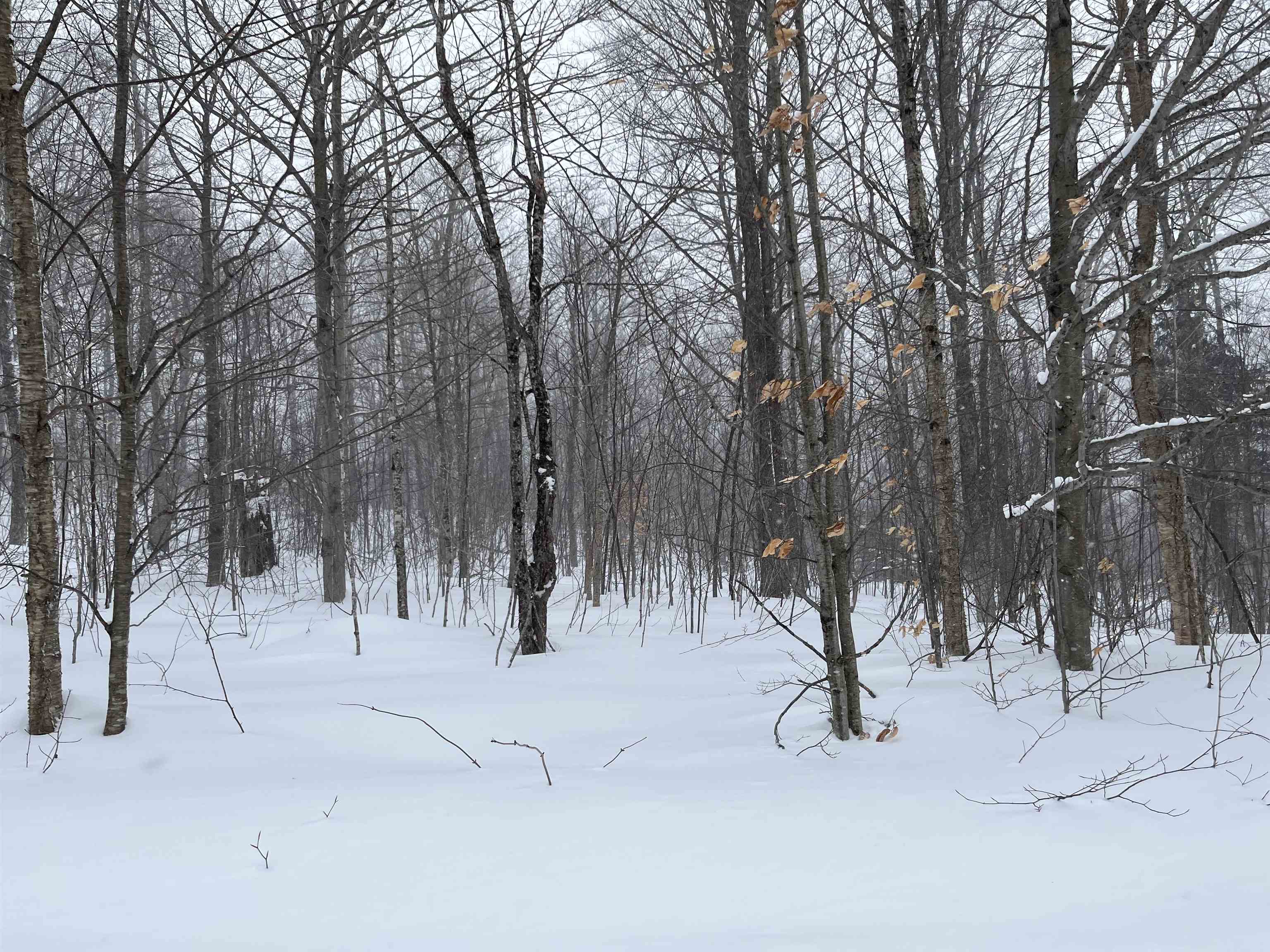 2924 New Duck Pond Road Sheffield, VT 05866 - Photo 4 of 14