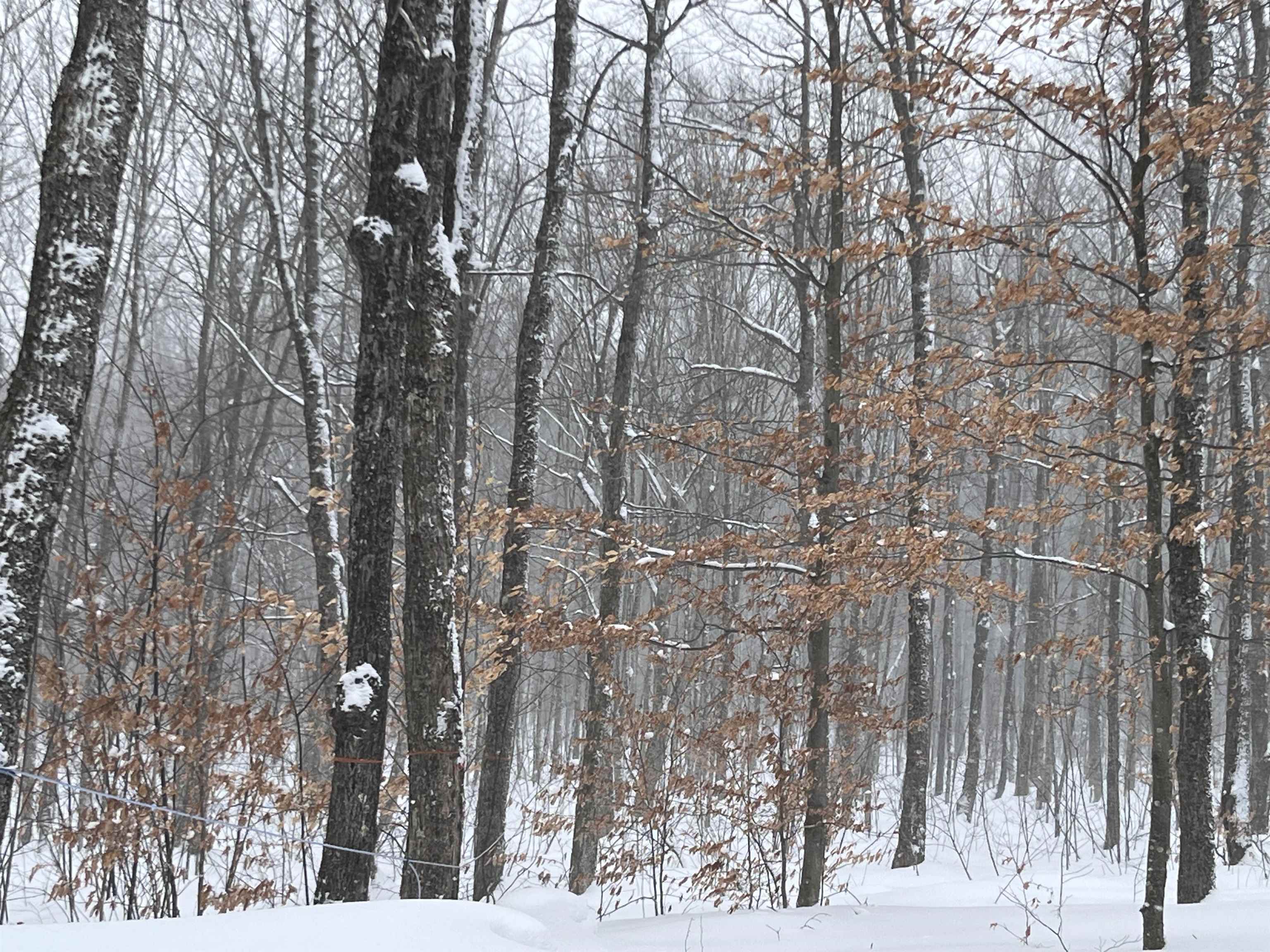 2924 New Duck Pond Road Sheffield, VT 05866 - Photo 5 of 14