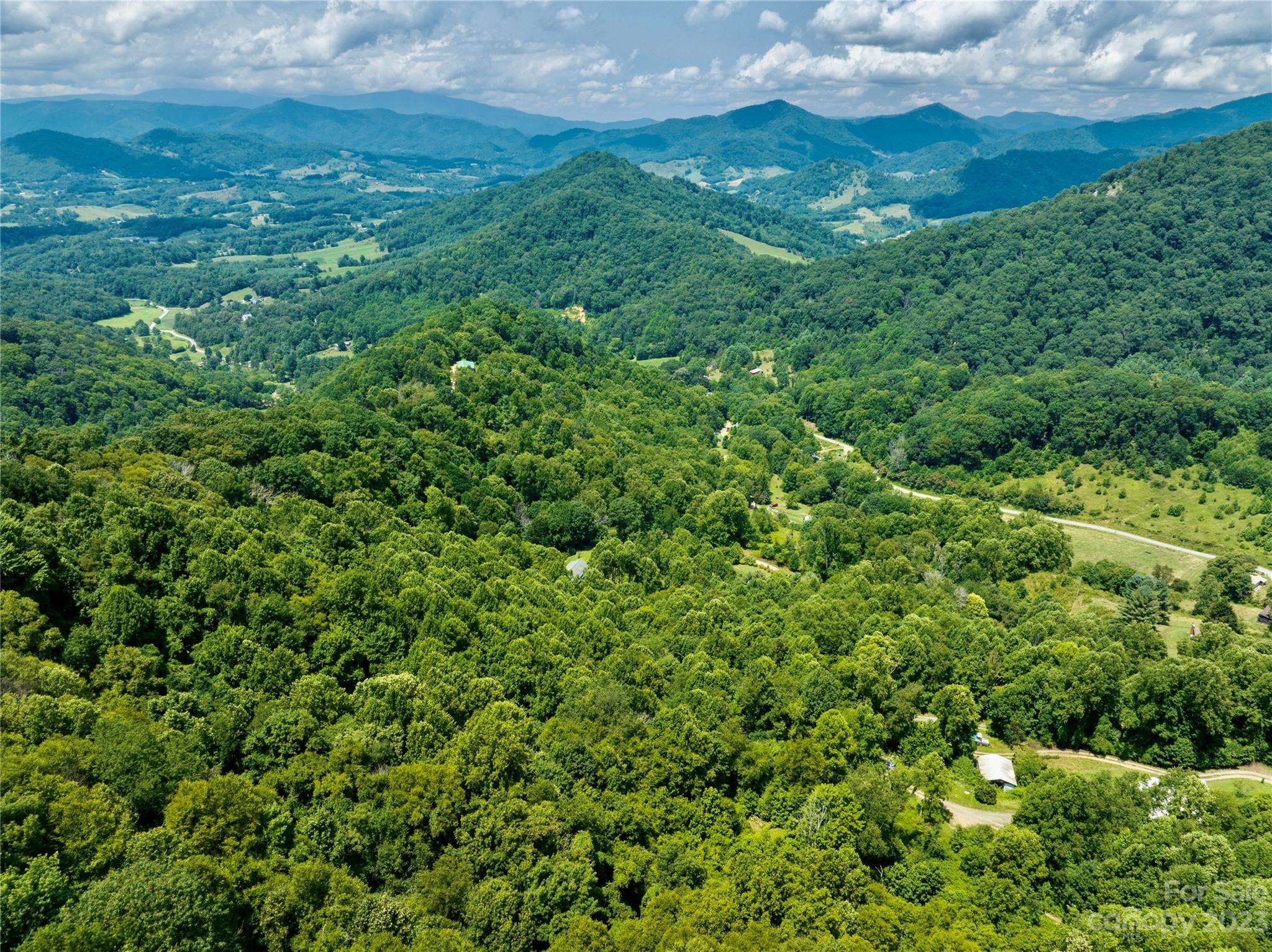 0 Grapevine Cove Clyde, NC 28721 - Photo 1 of 9 a view of a lush green space