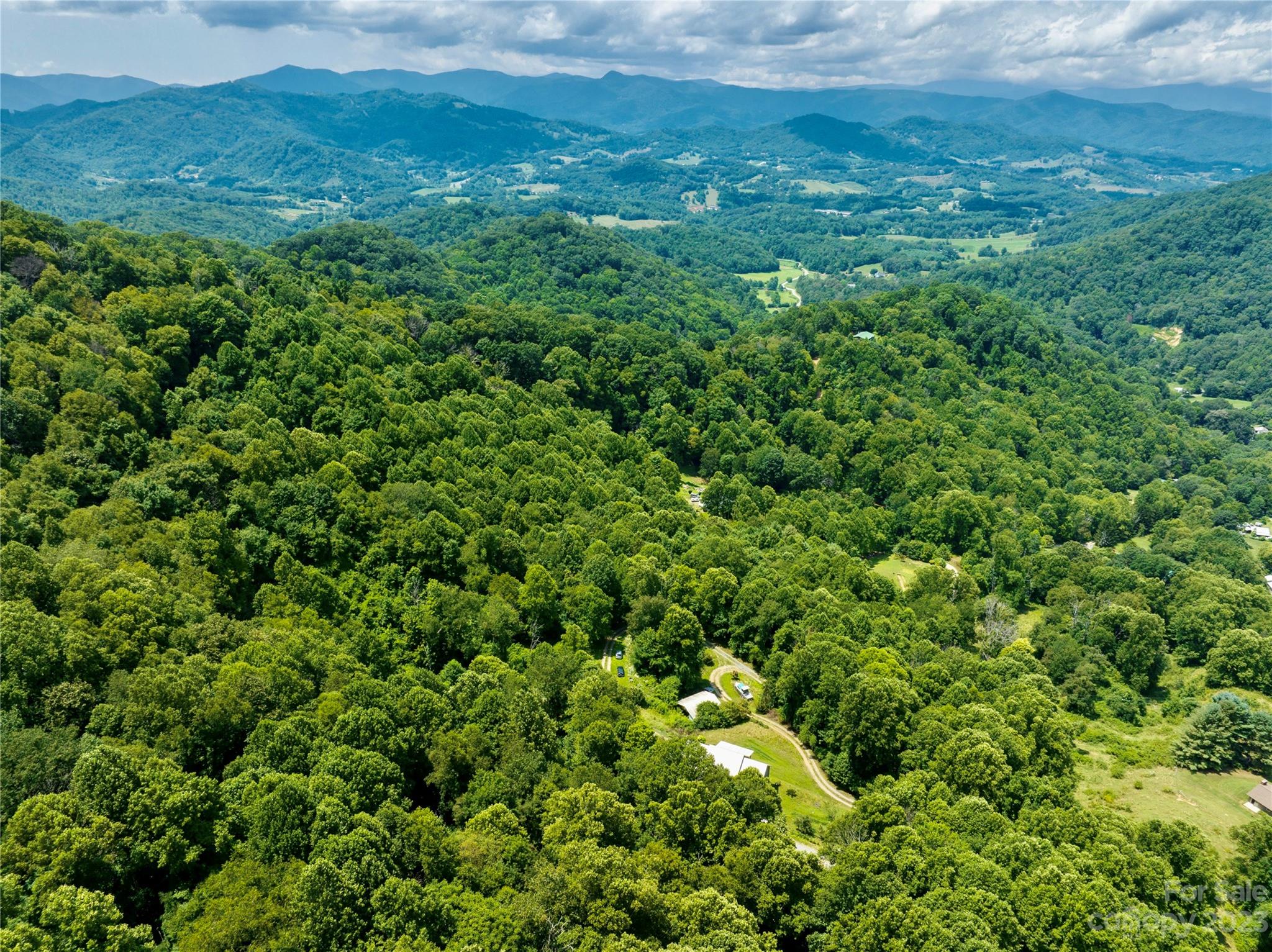0 Grapevine Cove Clyde, NC 28721 - Photo 2 of 9 a view of a lush green forest with trees in the background