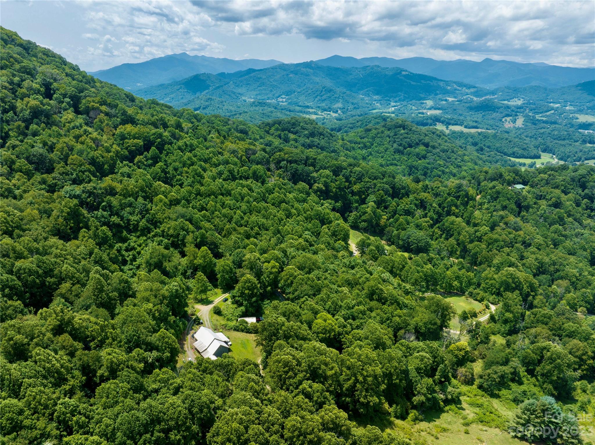 0 Grapevine Cove Clyde, NC 28721 - Photo 3 of 9 a view of a lush green forest with lots of trees