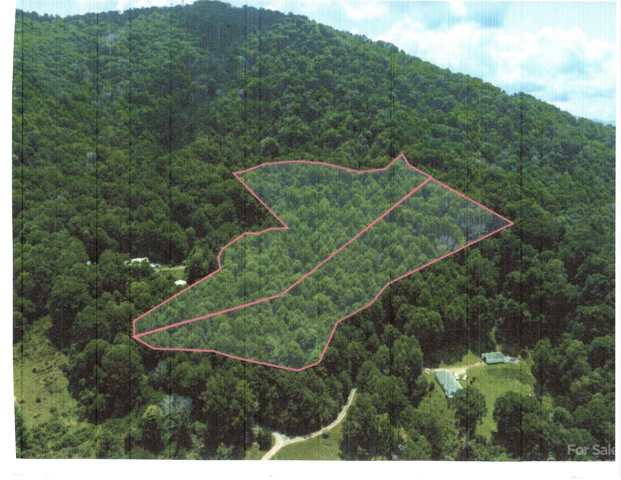 0 Grapevine Cove Clyde, NC 28721 - Photo 9 of 9 a view of a green yard with large trees