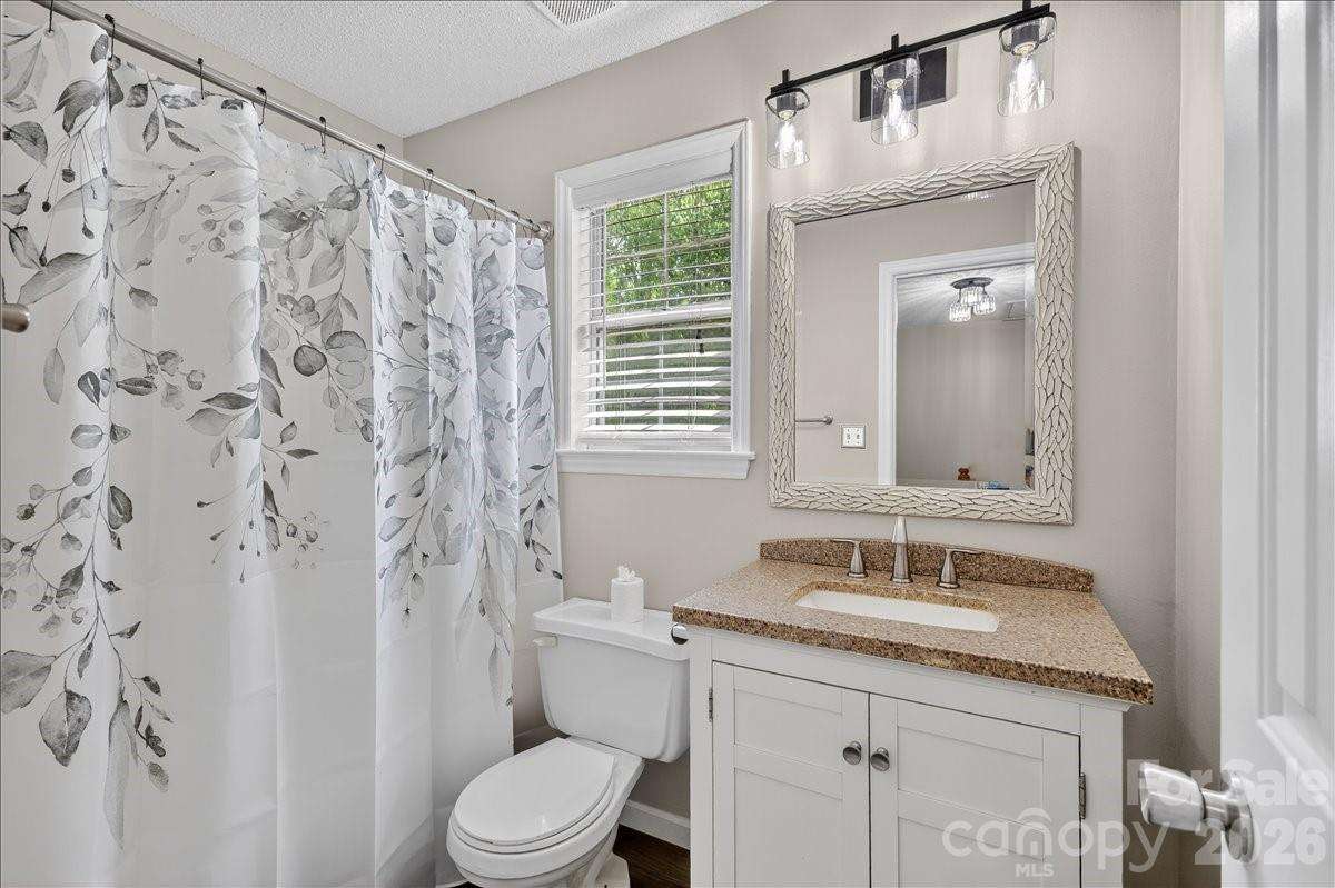 396 Reed Creek Road Mooresville, NC 28117 - Photo 25 of 48