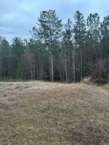 $289,000 | 407 Mae Cato Drive, Midway, FL 32343