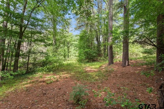 a view of a yard covered in snow