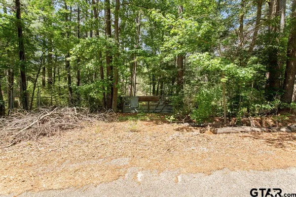 a view of a backyard with trees