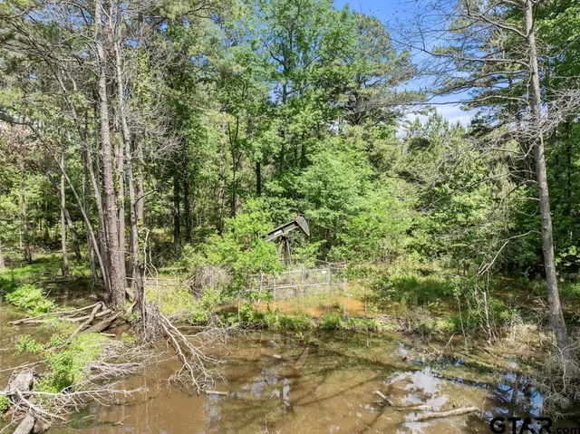a view of a lake from a yard