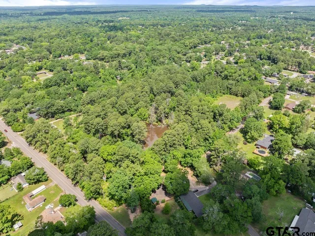 a view of a green field with lots of bushes