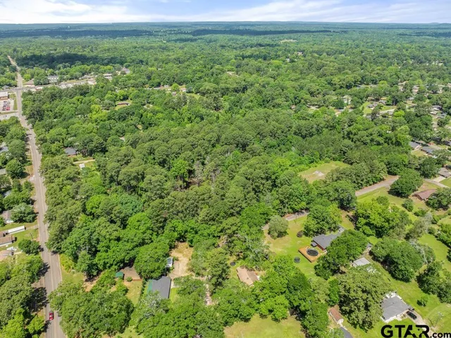 an aerial view of residential houses with outdoor space and trees