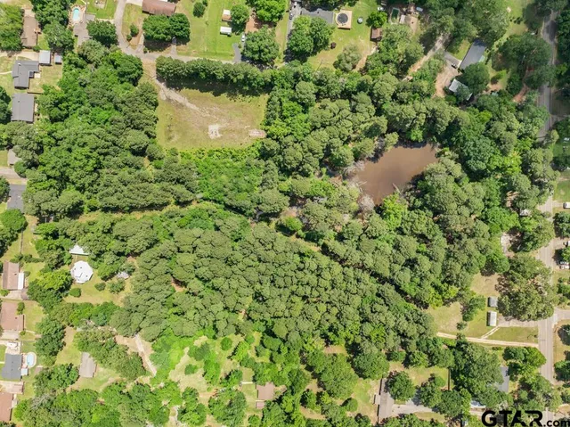 a view of a green field with lots of bushes