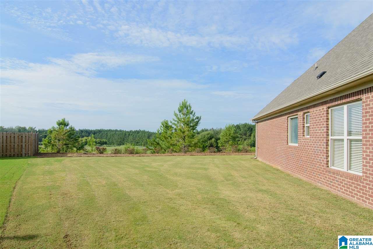 1077 Evan Circle Chelsea, AL 35043 - Photo 41 of 49