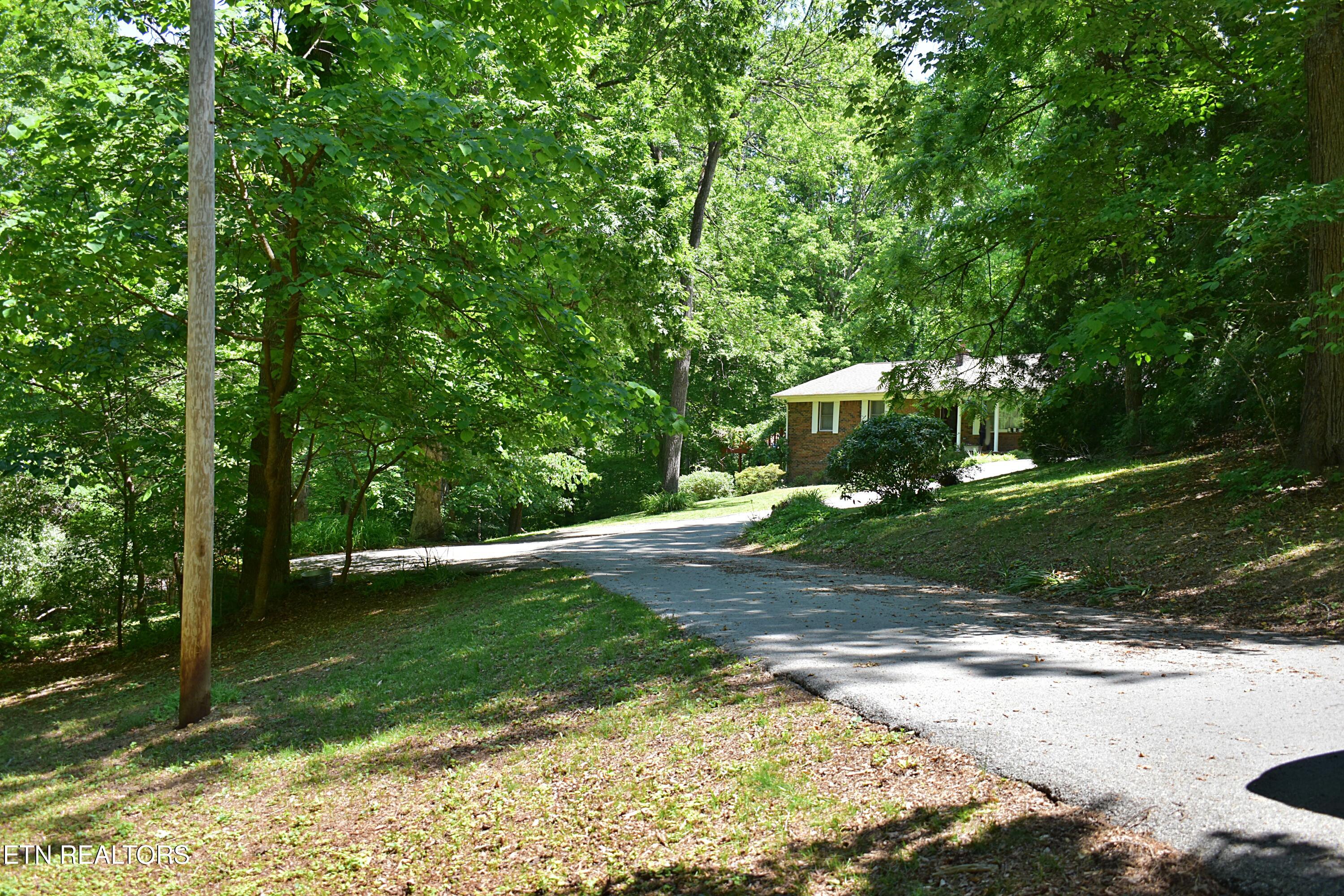 129 Jefferson Street Harrogate, TN 37752 - Photo 15 of 51 DSC_0021