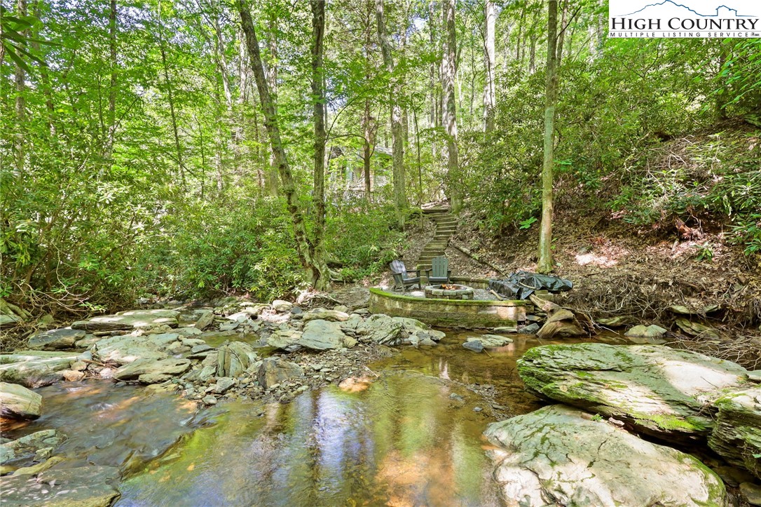148 Estates Drive Boone, NC 28607 - Photo 14 of 16 a view of a yard with plants and large trees