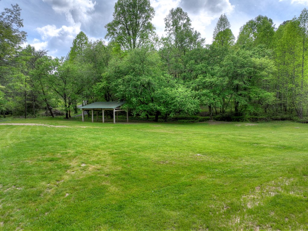 50 Cox Circle Blue Ridge, GA 30513 - Photo 54 of 66