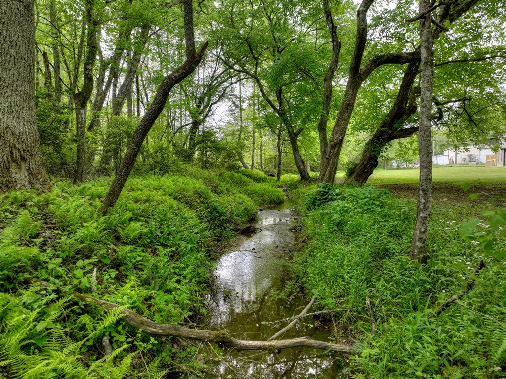 50 Cox Circle Blue Ridge, GA 30513 - Photo 60 of 66
