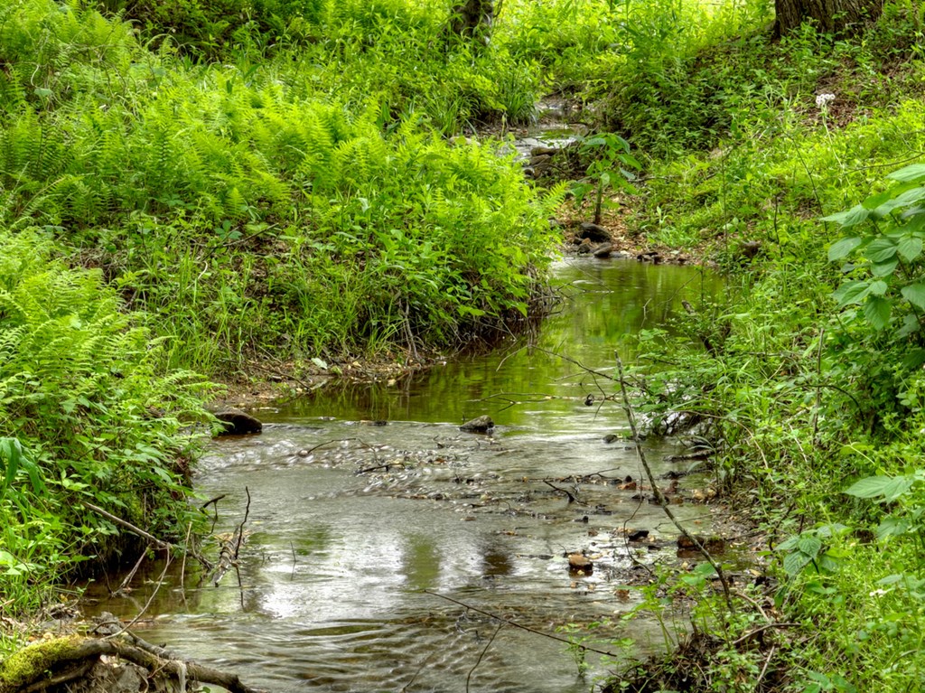 50 Cox Circle Blue Ridge, GA 30513 - Photo 61 of 66
