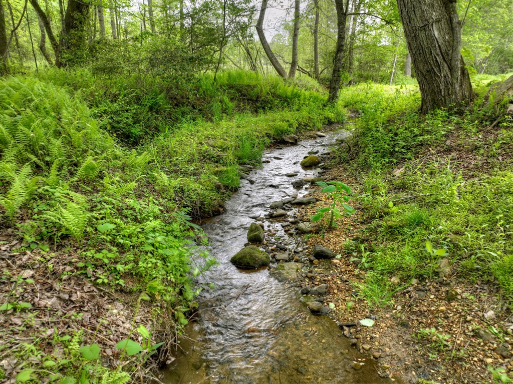 50 Cox Circle Blue Ridge, GA 30513 - Photo 62 of 66