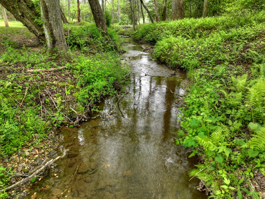 50 Cox Circle Blue Ridge, GA 30513 - Photo 63 of 66