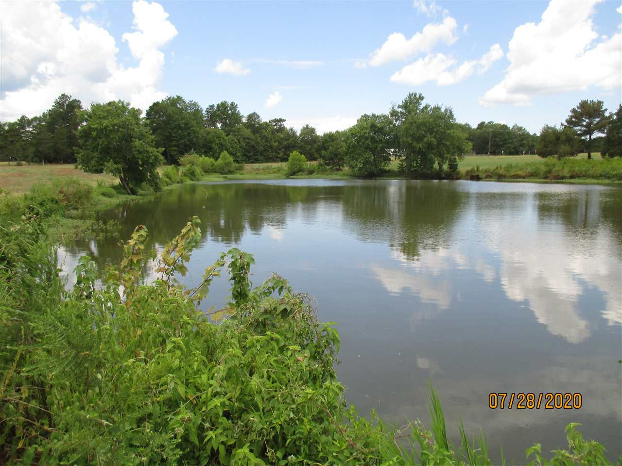 734 Chambers Road Rougemont, NC 27572 - Photo 2 of 19 Pond
