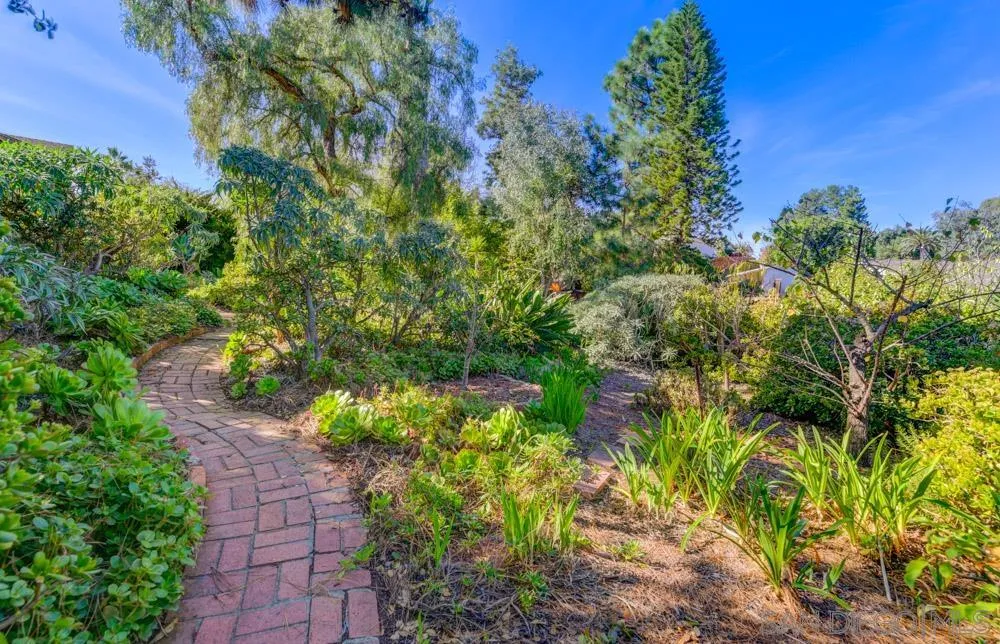 4470 Monahan Road La Mesa, CA 91941 - Photo 24 of 26 a backyard of a house with lots of green space