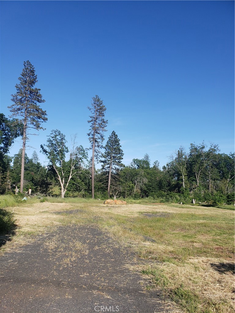5212 Bennett Road Paradise, CA 95969 - Photo 1 of 1 a view of a park